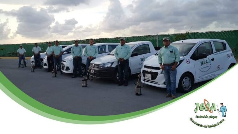 9115 fumigaciones jeca cancun 768x432