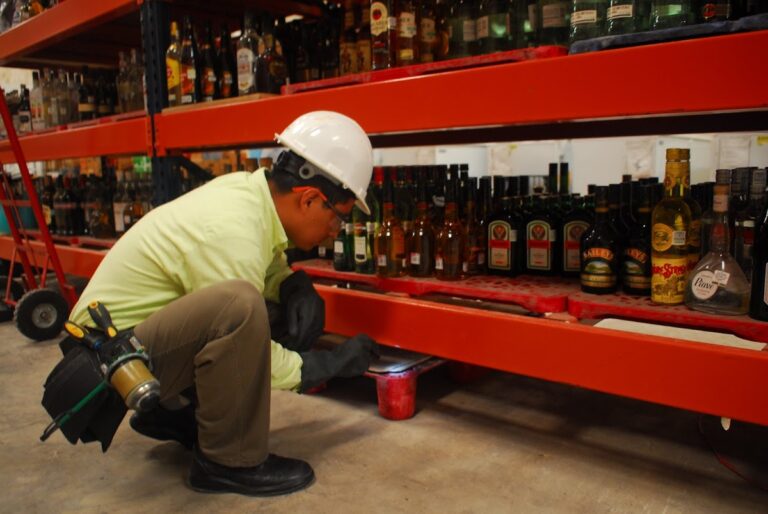 9119 birtac fumigaciones cancun 768x514