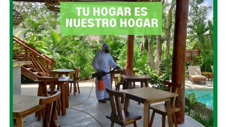 9123 fumigar.mx control de plagas urbanas 768x432