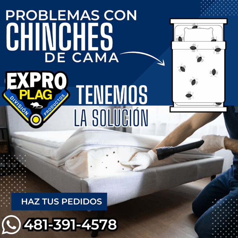 9160 exproplag division productos 768x768