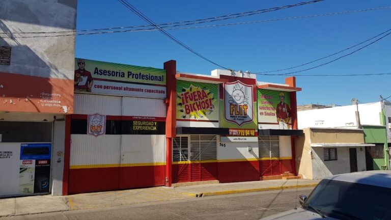 9164 flit fumigaciones 768x432