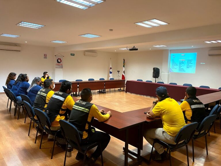 9181 fumigaciones ibarra 768x576