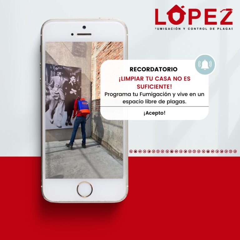 9183 fumigaciones lopez los mochis 768x768