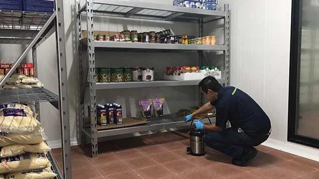 9187 fumigaciones matabichos