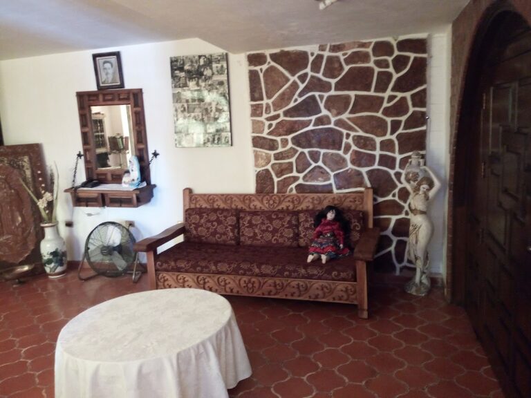 9197 fumigaciones hermosillo san angel 768x576