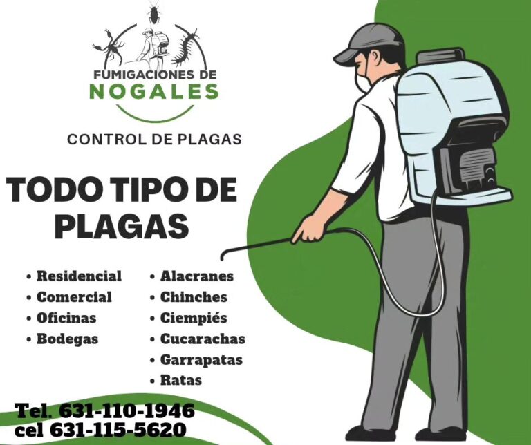 9213 fumigaciones de nogales 768x644