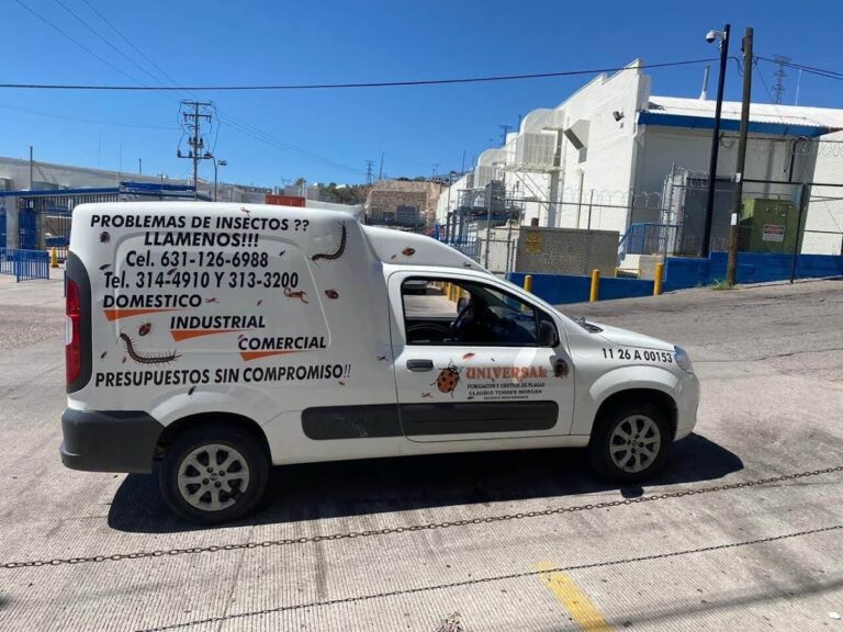 9215 universal fumigaciones 768x576