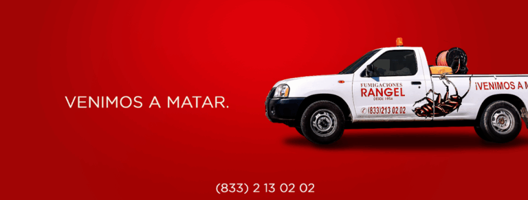 9231 fumigaciones rangel de tampico 768x292