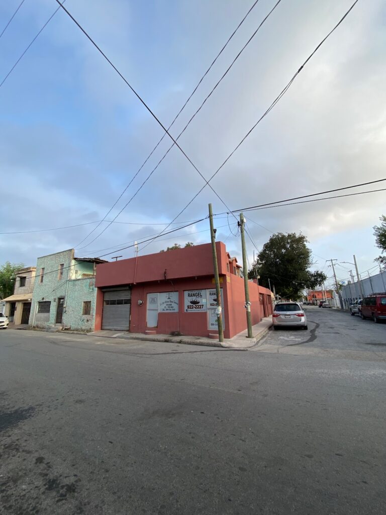 9239 fumigaciones rangel reynosa 768x1024