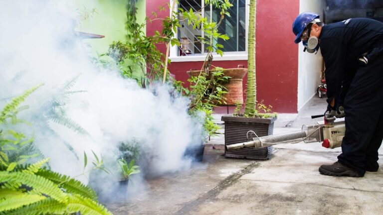 9286 maximo control de plagas 768x432