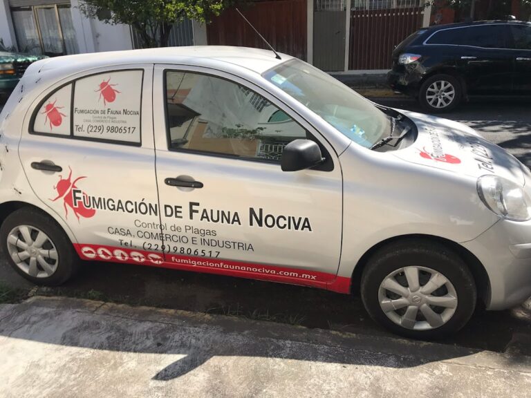 9290 fumigacion de fauna nociva 768x576
