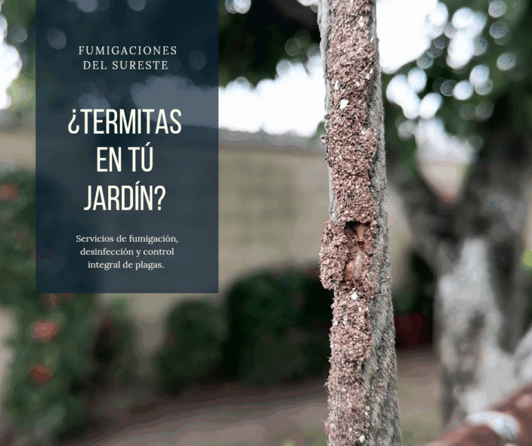 9301 fumigaciones del sureste ver 768x644