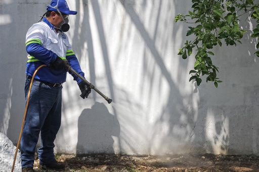 9325 mar control de plagas