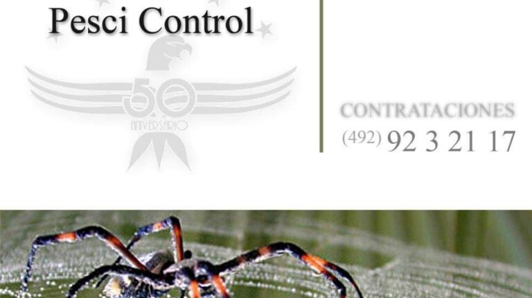 9345 pesci control de plagas urbanas 768x431