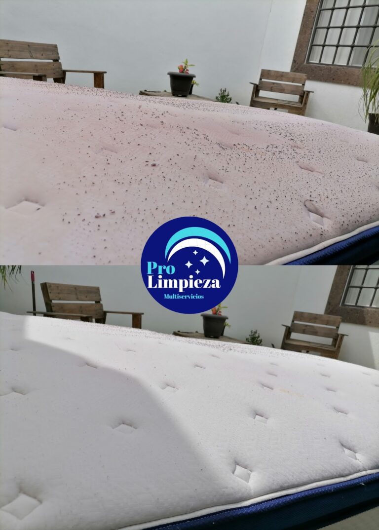 9386 pro limpieza multiservicios 768x1074