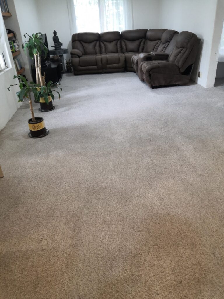 9481 limpieza total mexico 768x1024