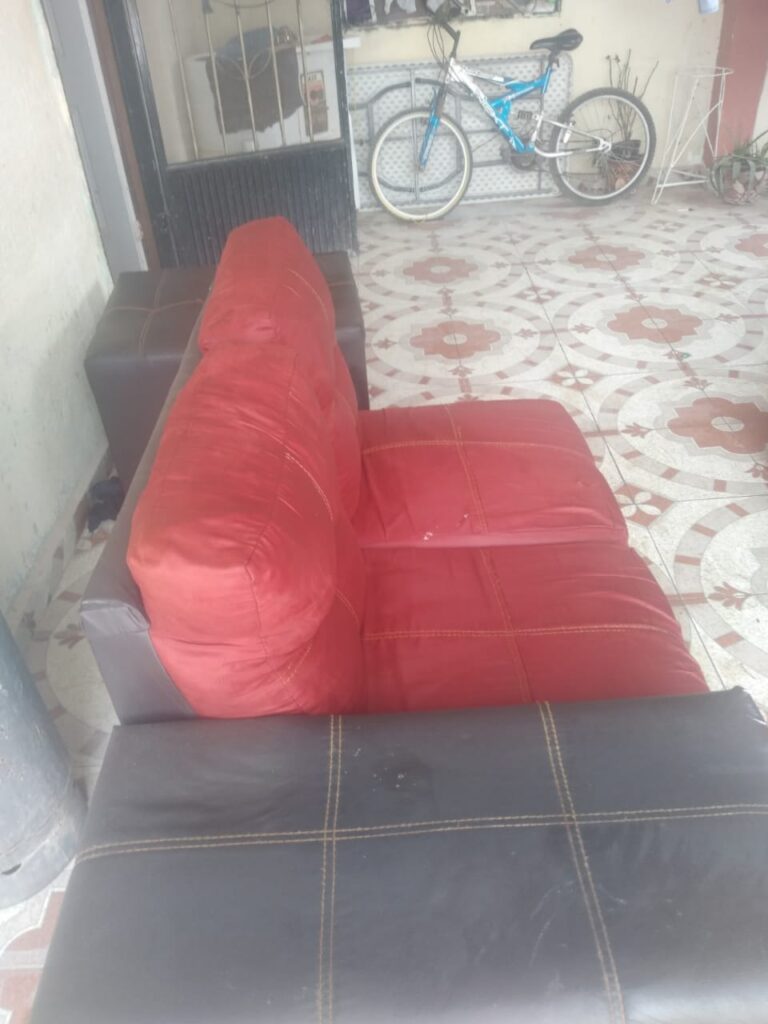 9494 servicios de limpieza laguna 768x1024