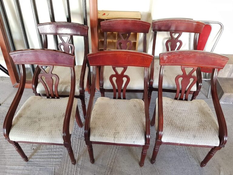 9504 monster clean monclova limpieza profunda 768x576