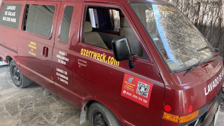 9510 ozerrweck lavado profesional de salas alfombras e interiores de autos 768x432