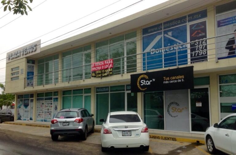 9532 domestica limpieza segura 768x506