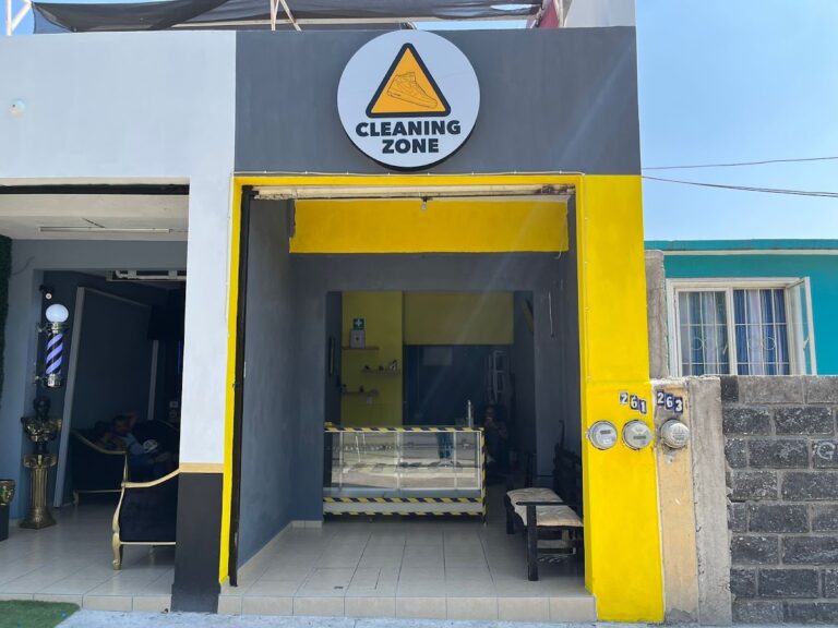 9545 cleaning zone 768x576