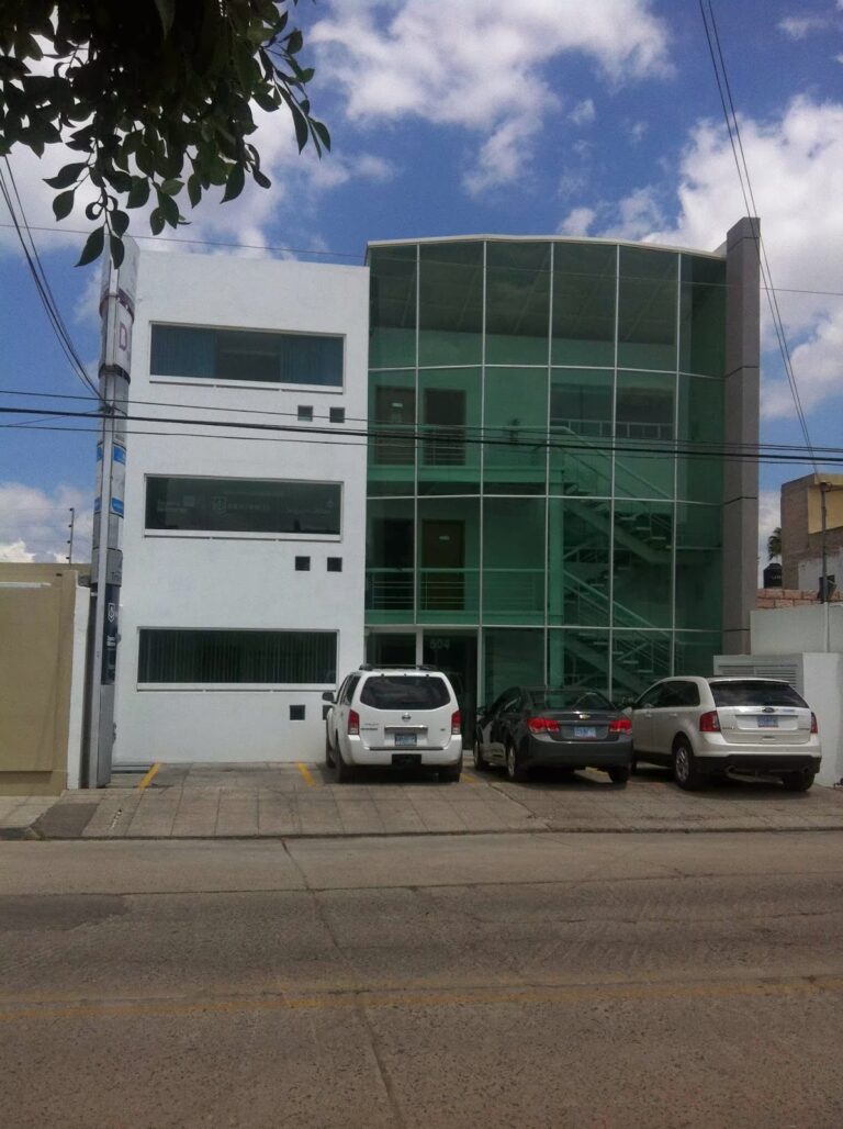 9590 sermib limpieza en celaya 768x1028