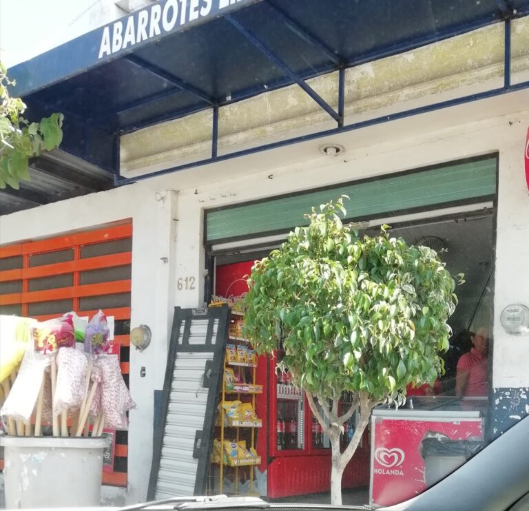 9596 limpieza integral y abarrotes 768x742