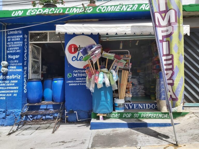 9620 industrial clean chilpancingo 768x576