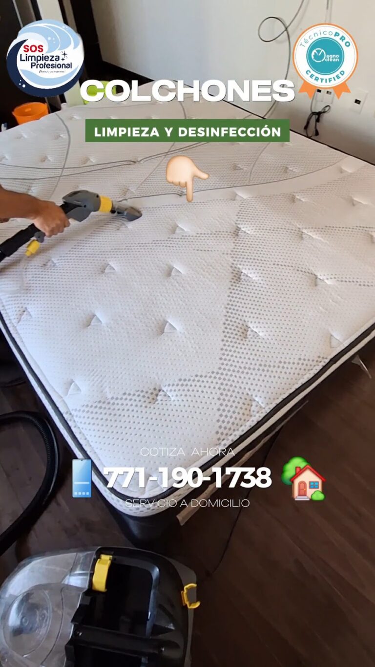 9635 sos limpieza profesional pachuca 768x1365