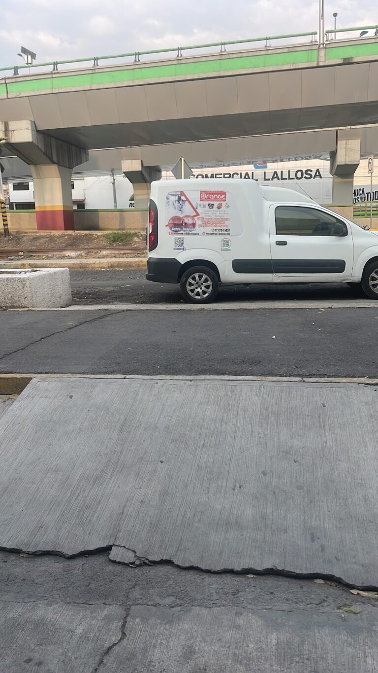 9639 cleanwork orange hidalgo 768x1365