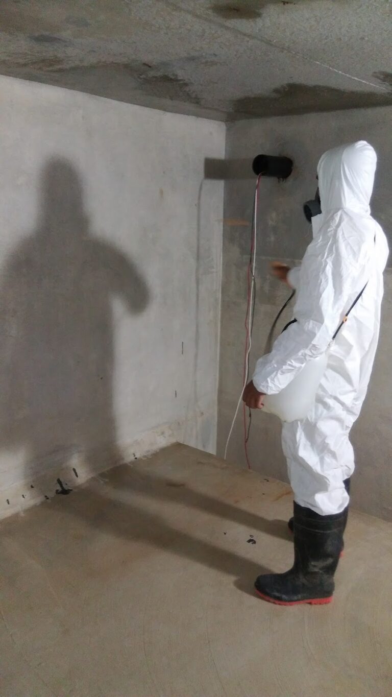 9667 limpieza de tinacos y cisternas servicios ecoclean 768x1365