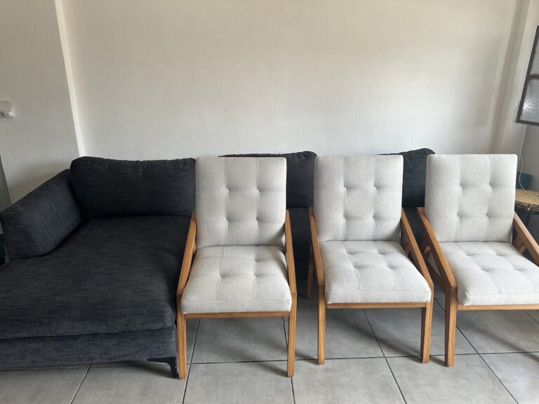 9675 punto limpieza gonzalez 768x576