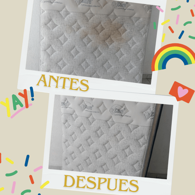 9687 lavado de salas desde 310 768x768