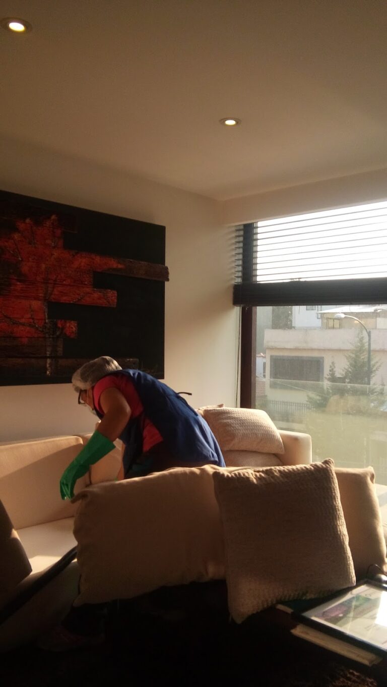 9707 casa limpia. ama tu vida ama tu hogar 768x1362