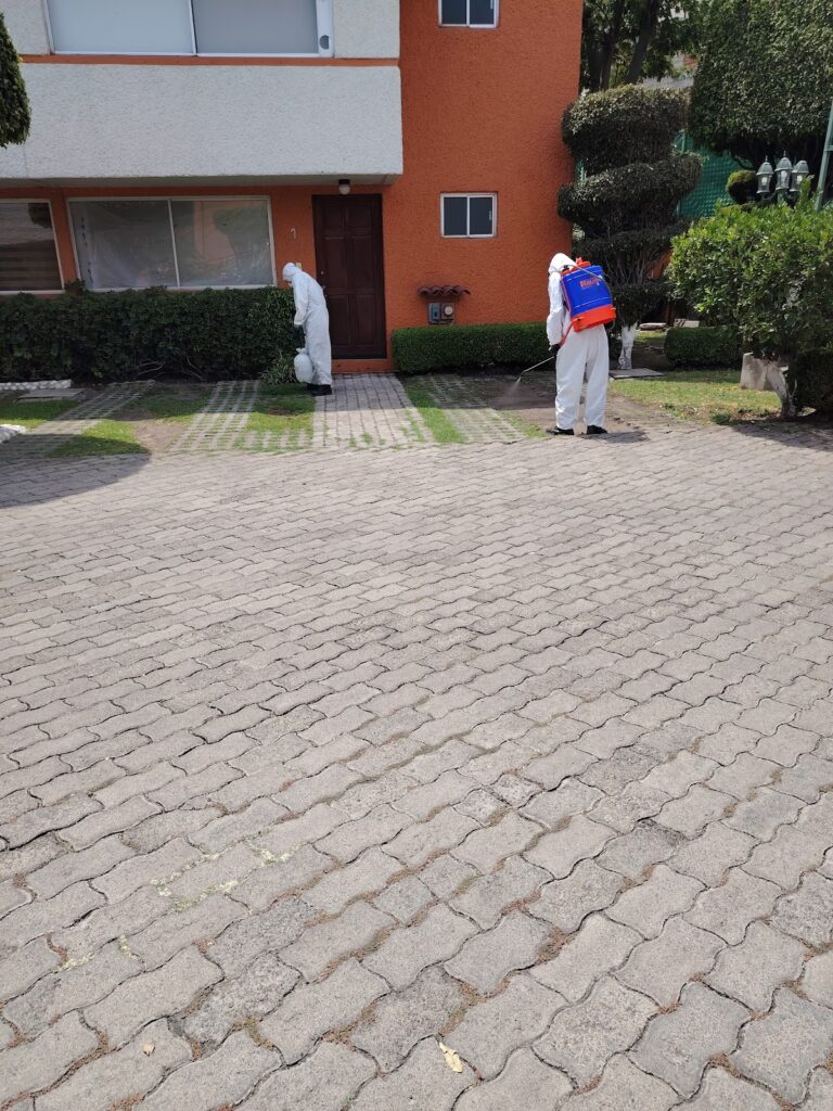 9709 hrg clean 768x1024