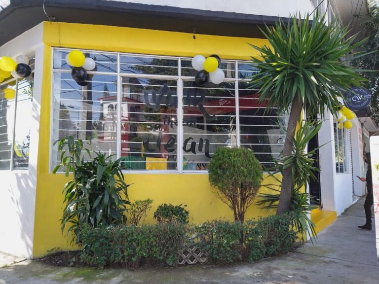 9714 clean walkers naucalpan 768x576