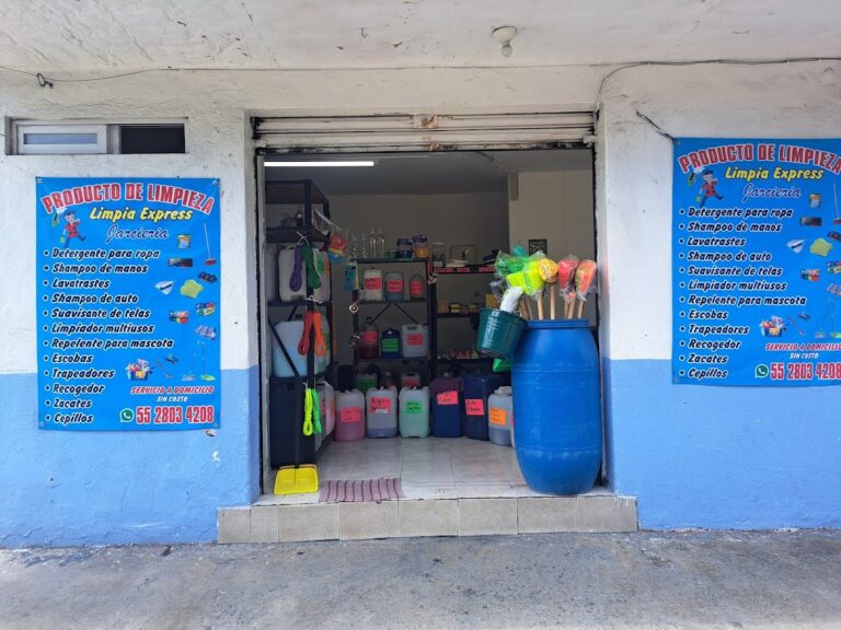 9721 productos de limpieza 8220limpia express 768x576