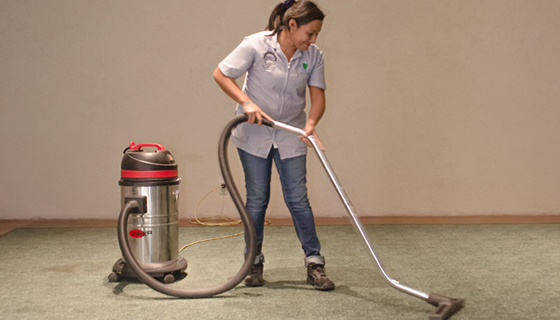 9765 empresas de limpieza en cuernavaca proyecta y alinea