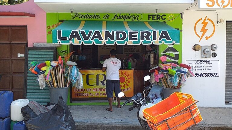 9843 ferco productos de limpieza 768x432