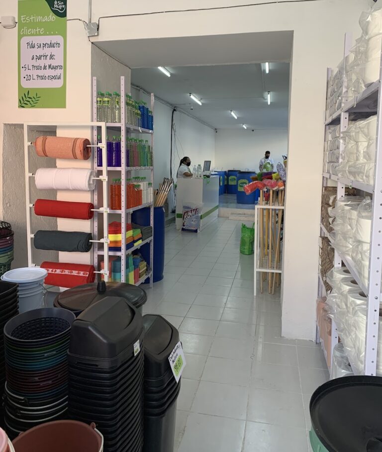 9873 sin mugre cholula 768x909