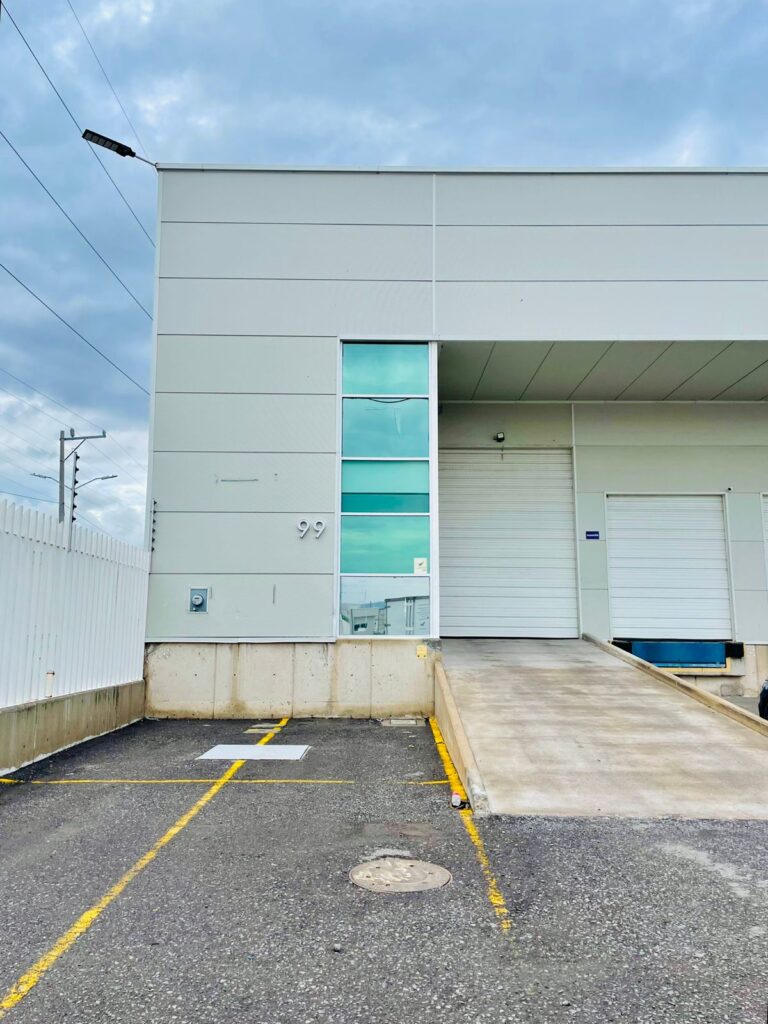 9884 qro clean 768x1024