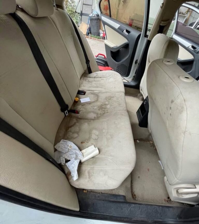 9959 servicios de limpieza medina 768x863