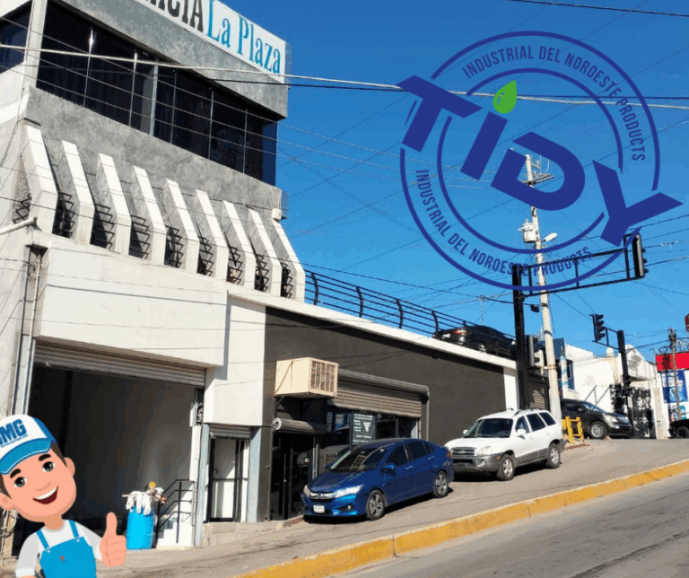 9961 servicios de limpieza de nogales 768x644