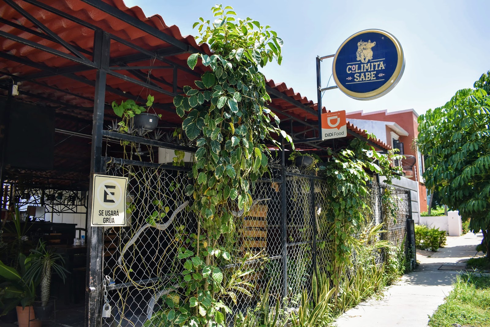 leetx-google-photo-1770150945935-0