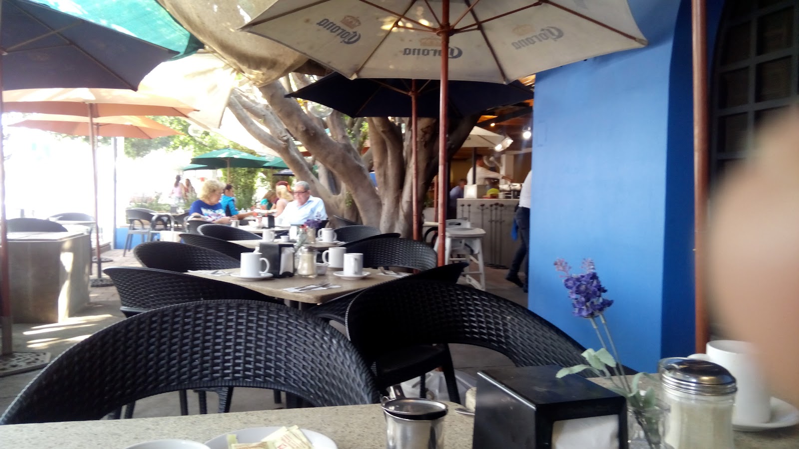 leetx-google-photo-1770151193844-0