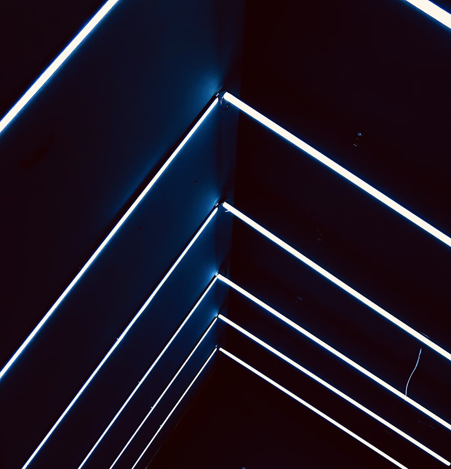 leetx-google-photo-1770326677160-0