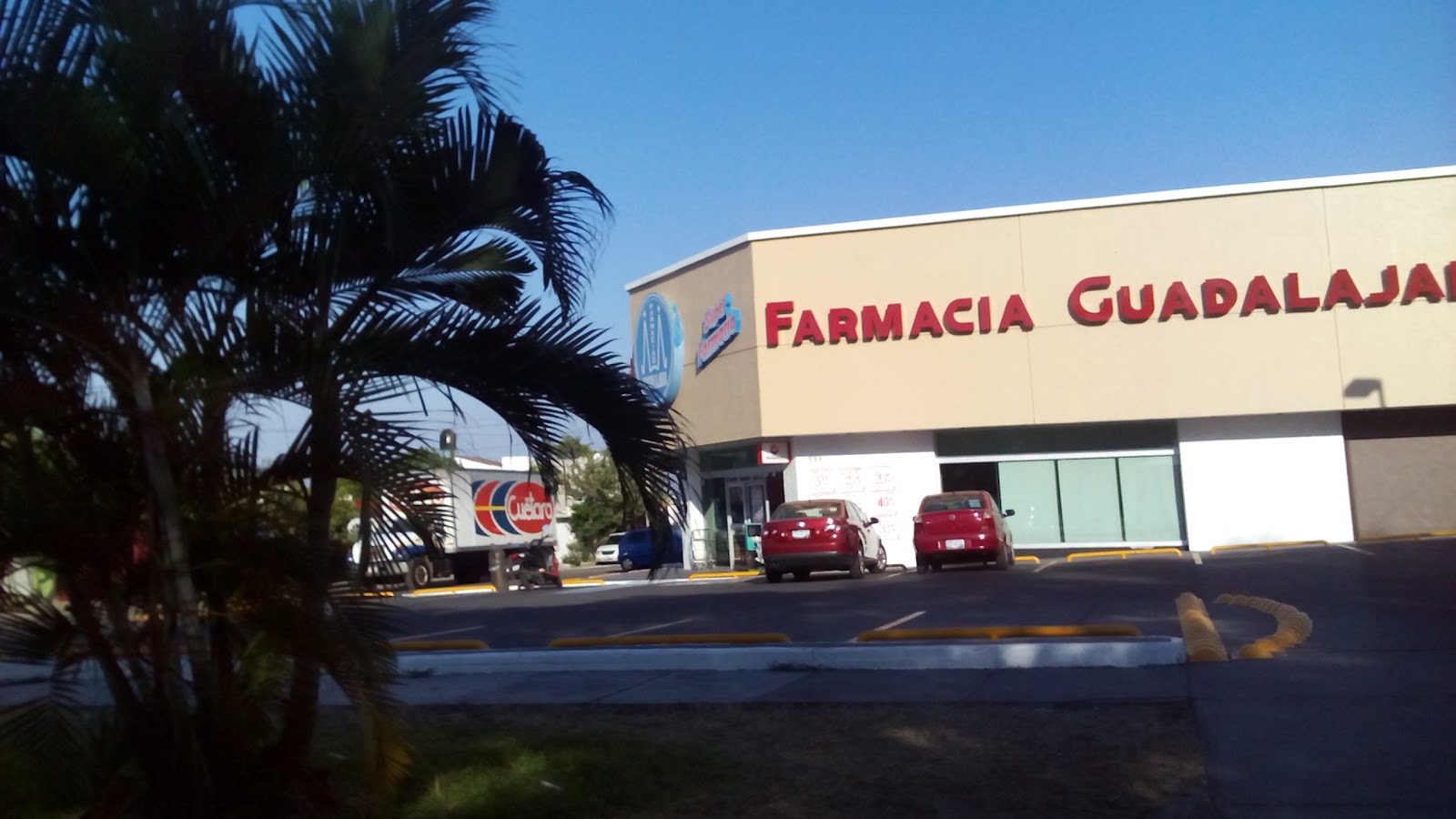 leetx-google-photo-45095-1