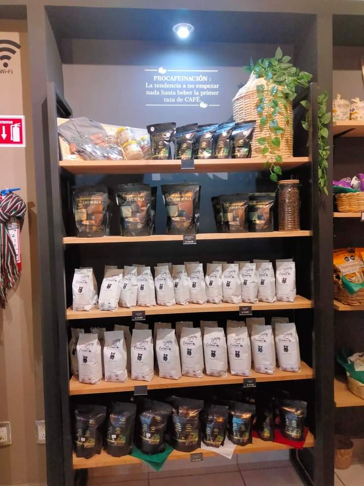 leetx-google-photo-45532-8 leetx-google-photo-45532-8