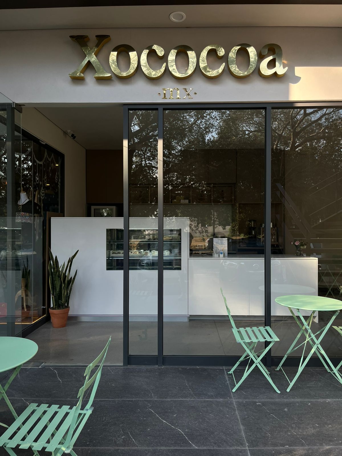 leetx-google-photo-45648-1