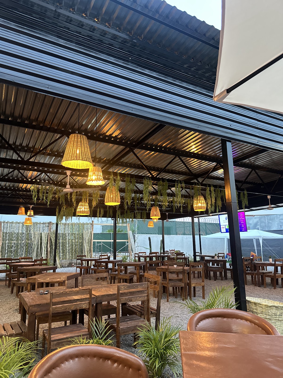 leetx-google-photo-46381-1